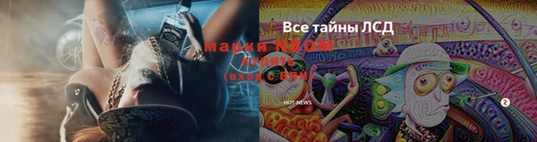 дурь Алексеевка