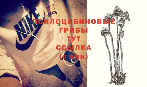 Альфа ПВП Абаза