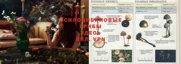 метадон Абдулино