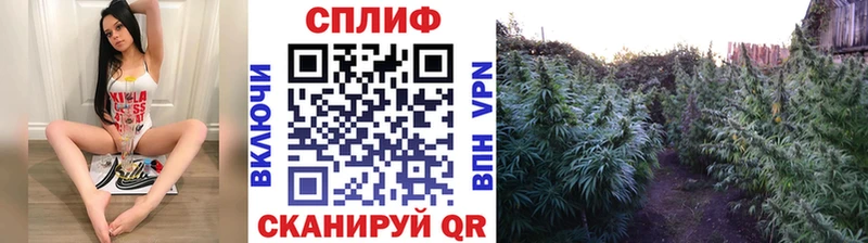 цены   Морозовск  МАРИХУАНА THC 21% 